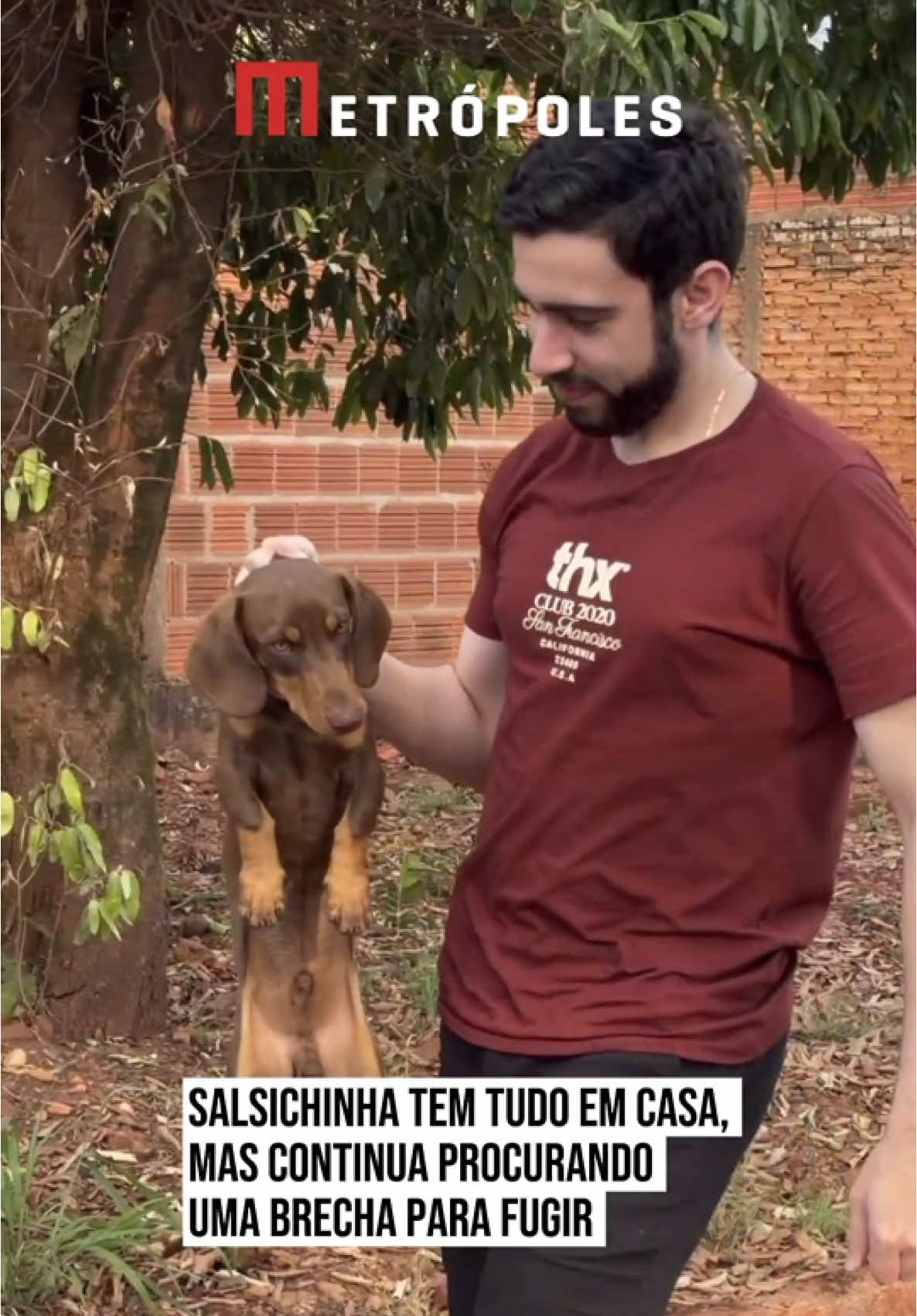 @Metrópoles Oficial