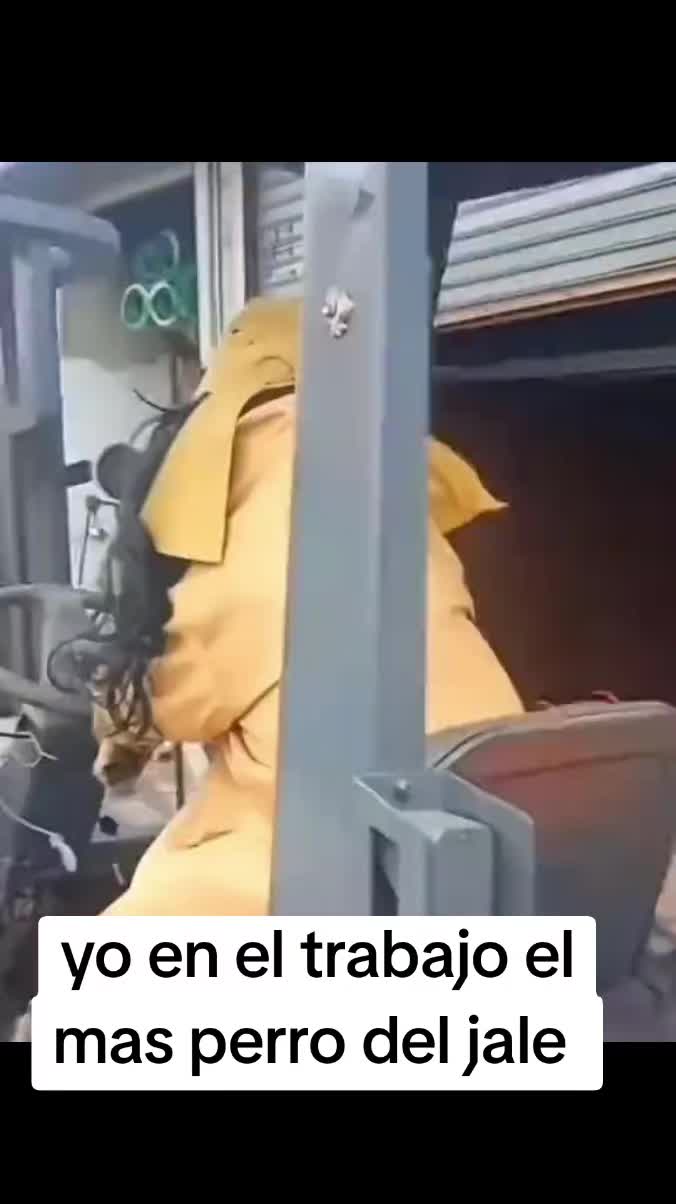 @G .. maldonado