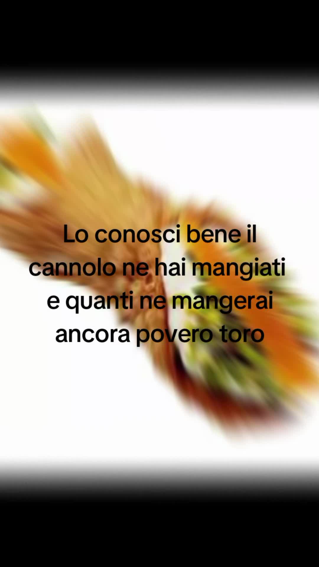 @user40911852295