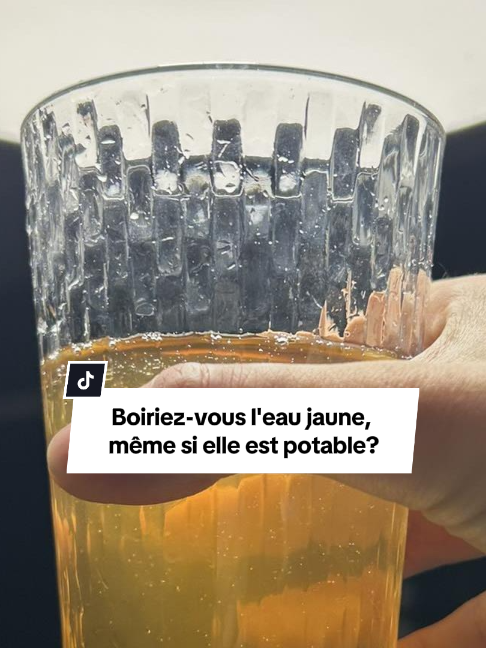 @Radio-Canada Ottawa-Gatineau