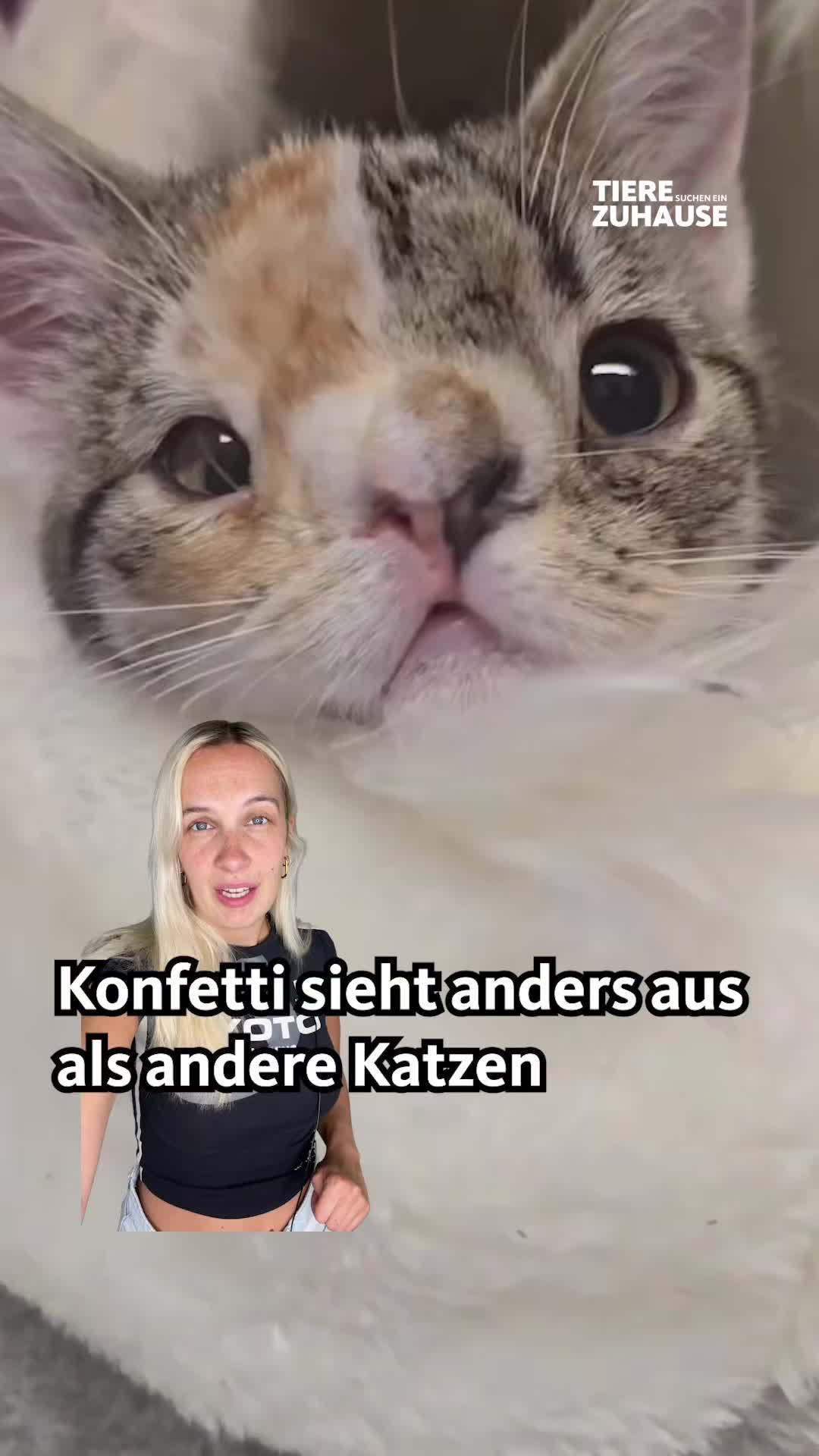 @Tiere suchen ein Zuhause