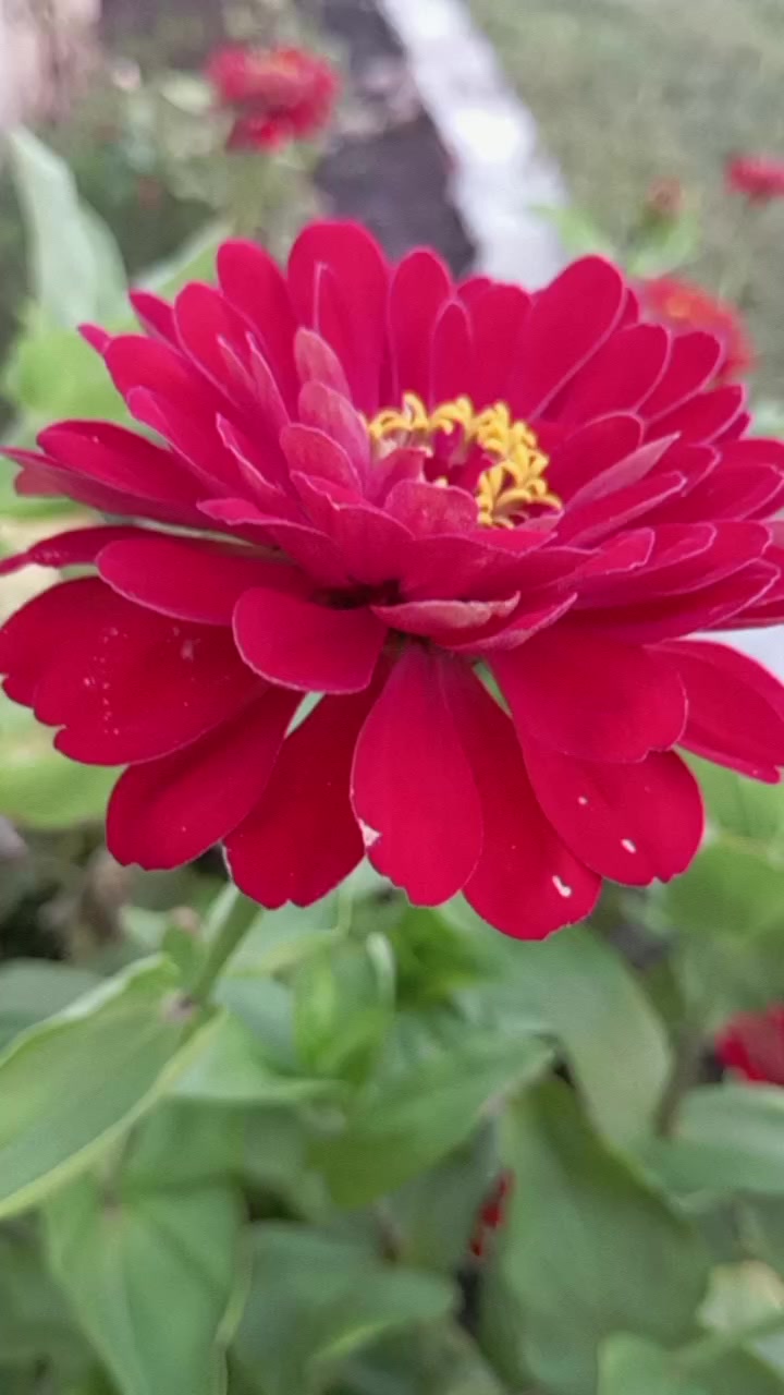 @♡𝙏𝙤𝙩𝙪𝙢♡