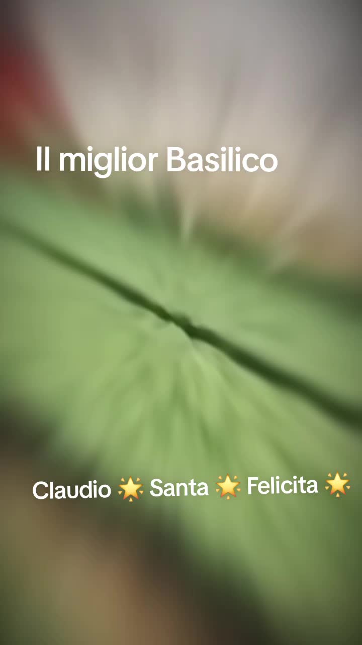 @Claudio Santa Felicita