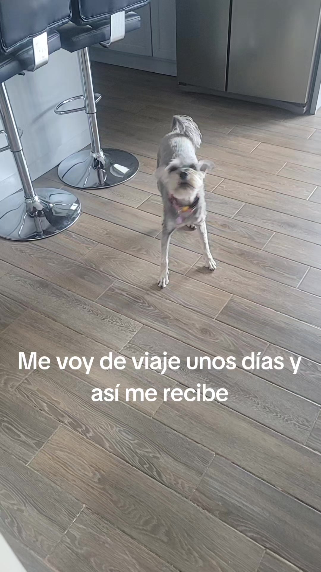 @Armandini Enr&iacute;quez
