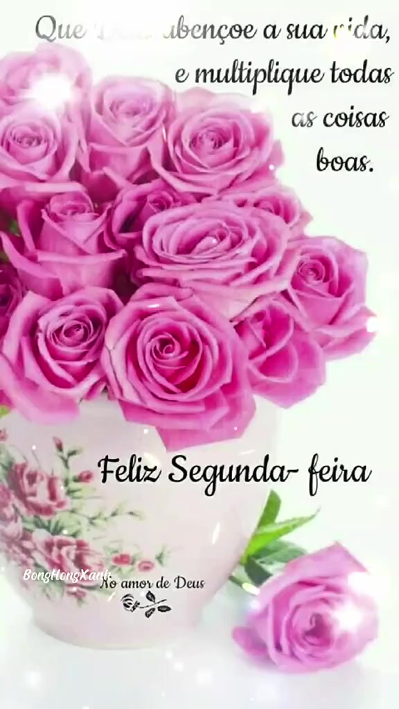 @Opoetabeijaflor
