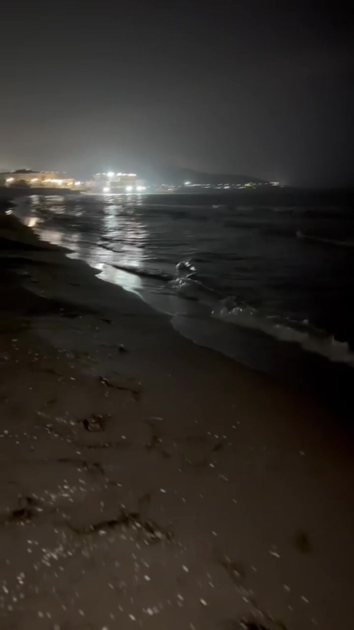 @Zehra.14