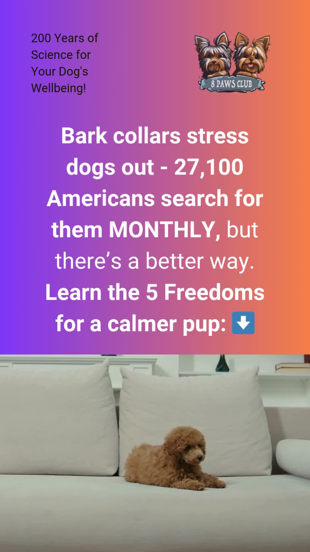 @Anna Isakova - Dog Behaviorist