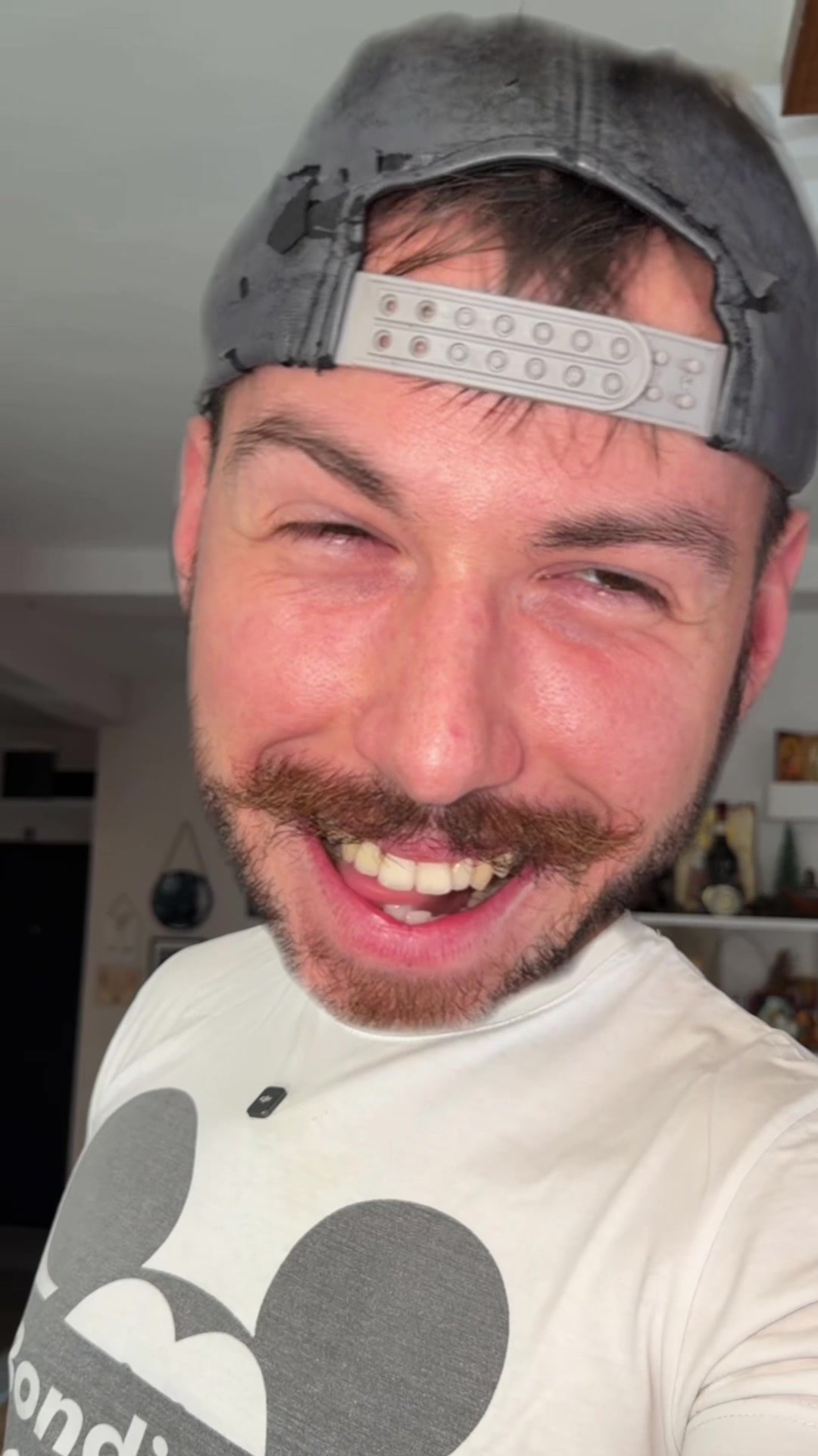 @bondisimo
