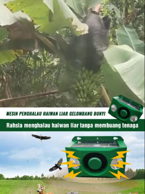 @Pengedar sah MIKITA
