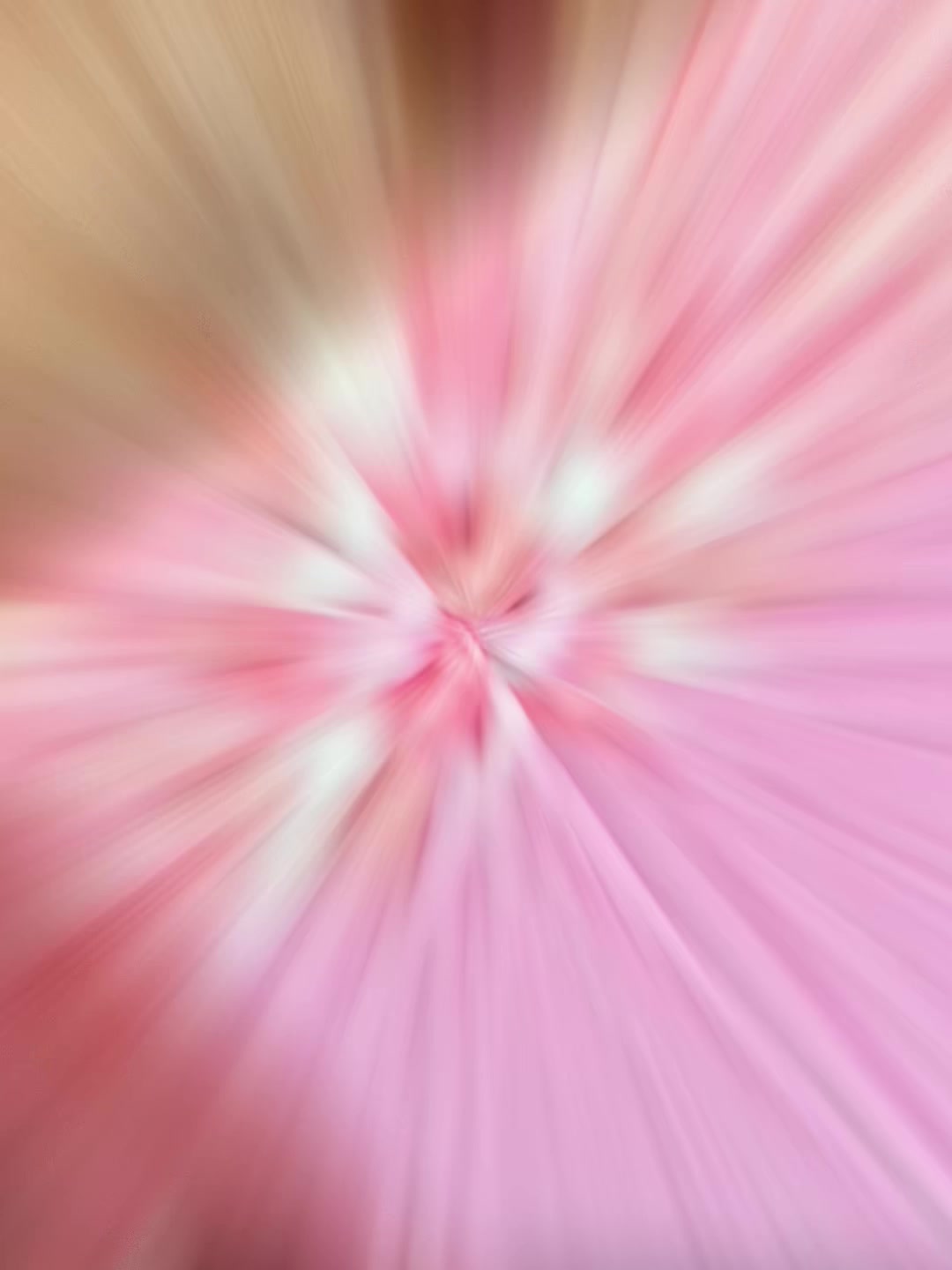 @Jessica Bellomo