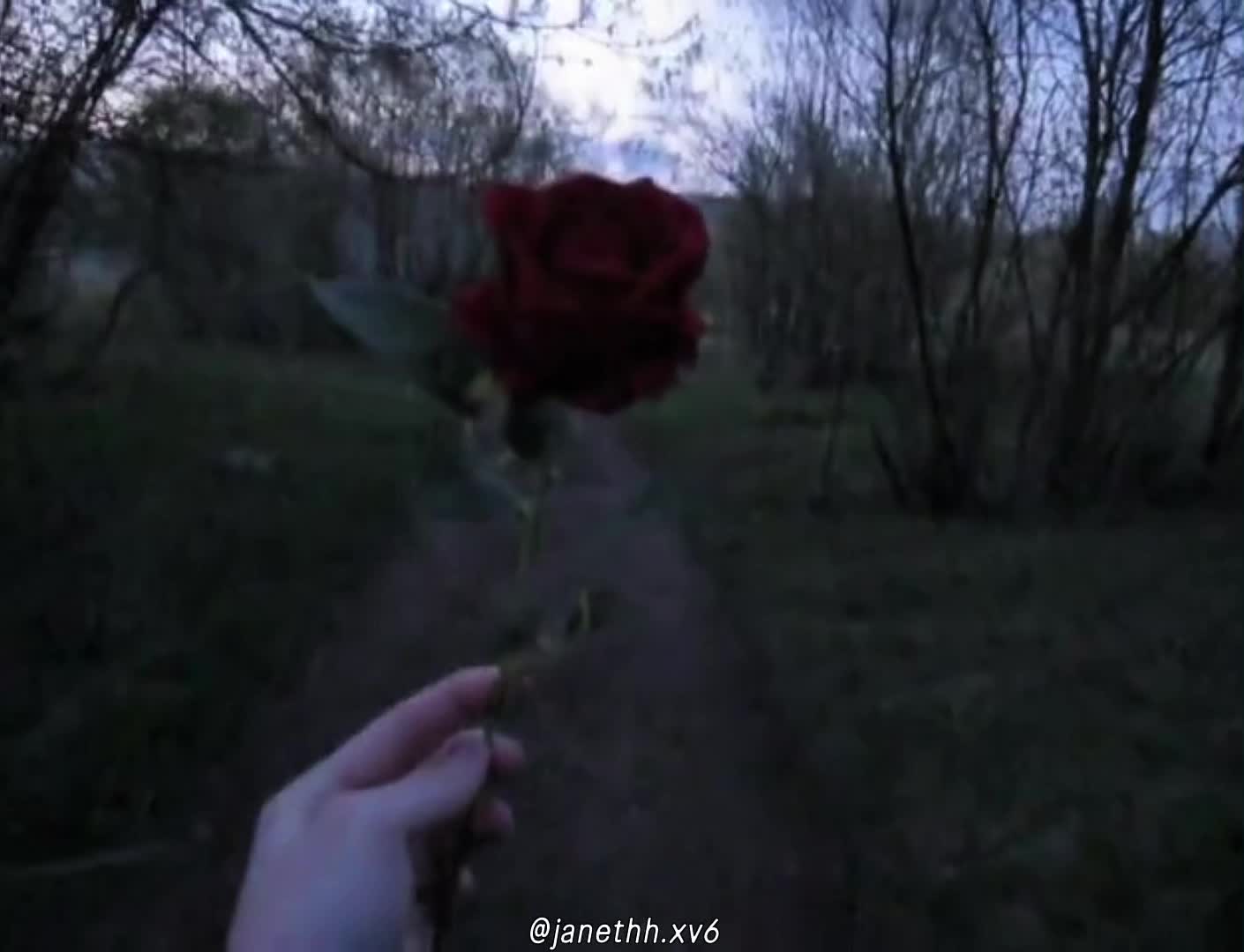 @Janeth . ݁₊ ᵃⁿᵈₒₙₑ