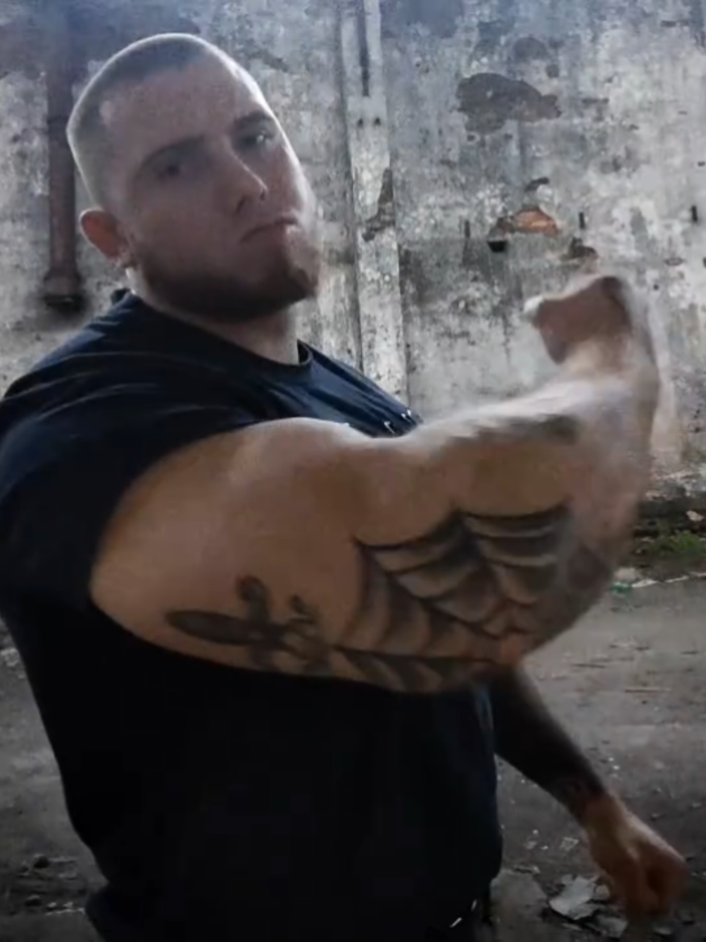 @viking slavorum