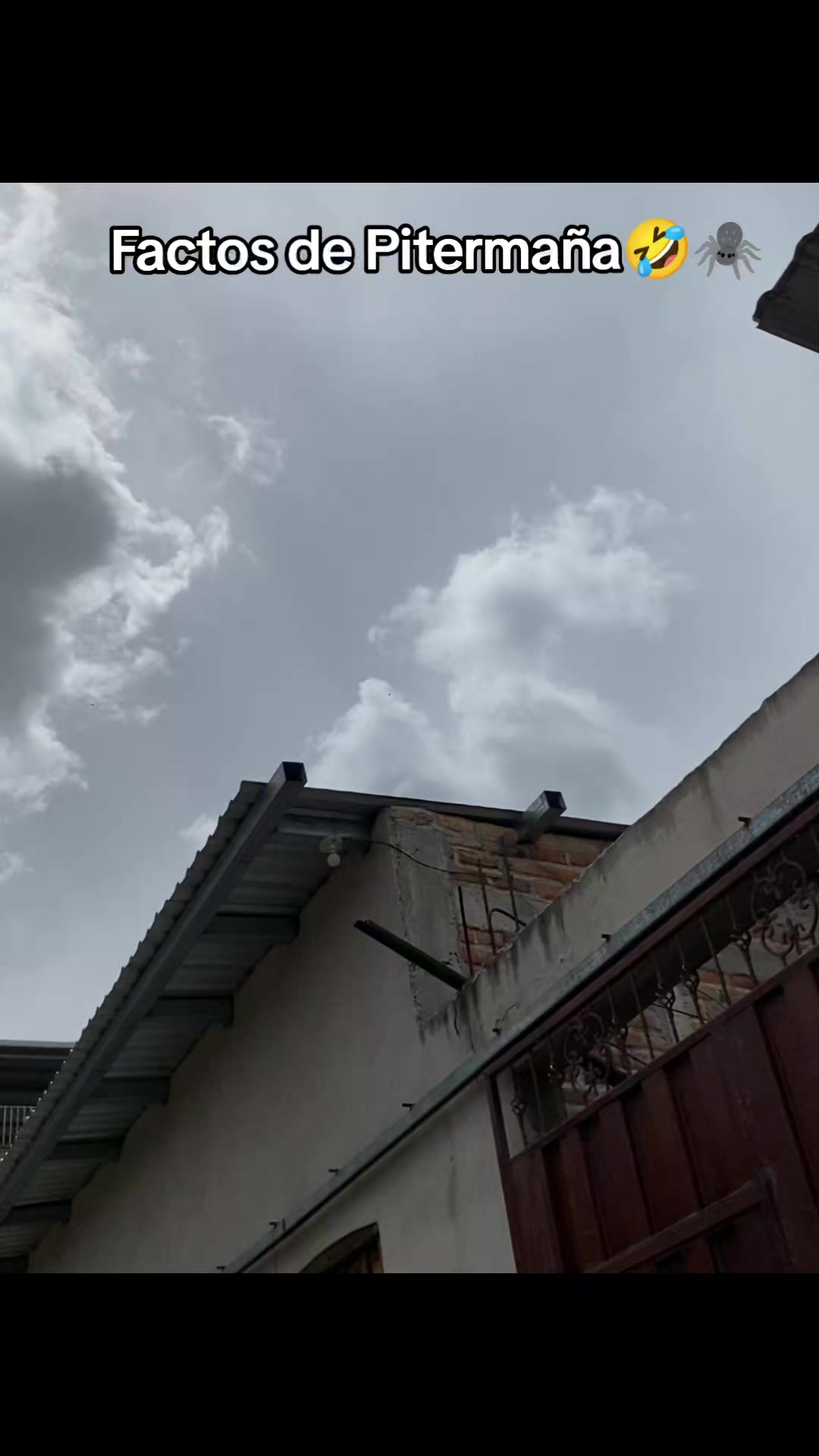 @Papi_Maña 🧩🕷️