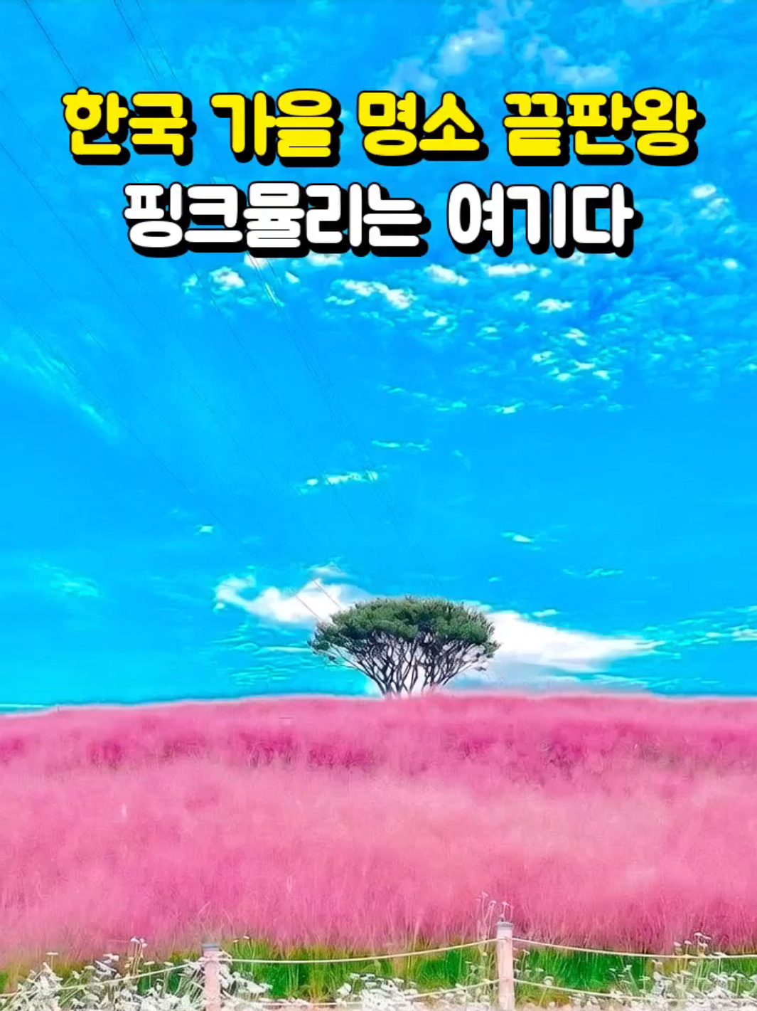 @예능대장