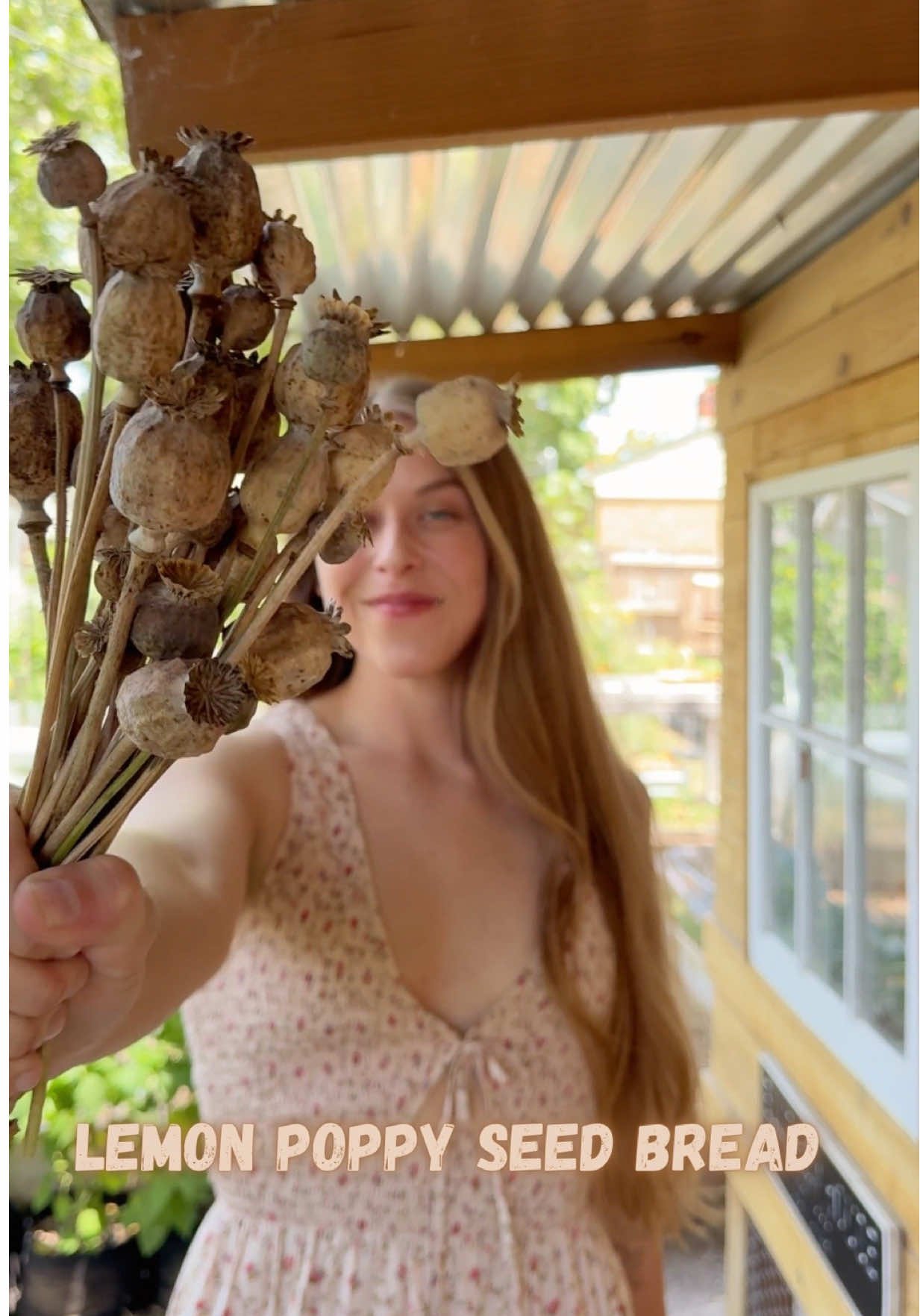 @Itsbreellis