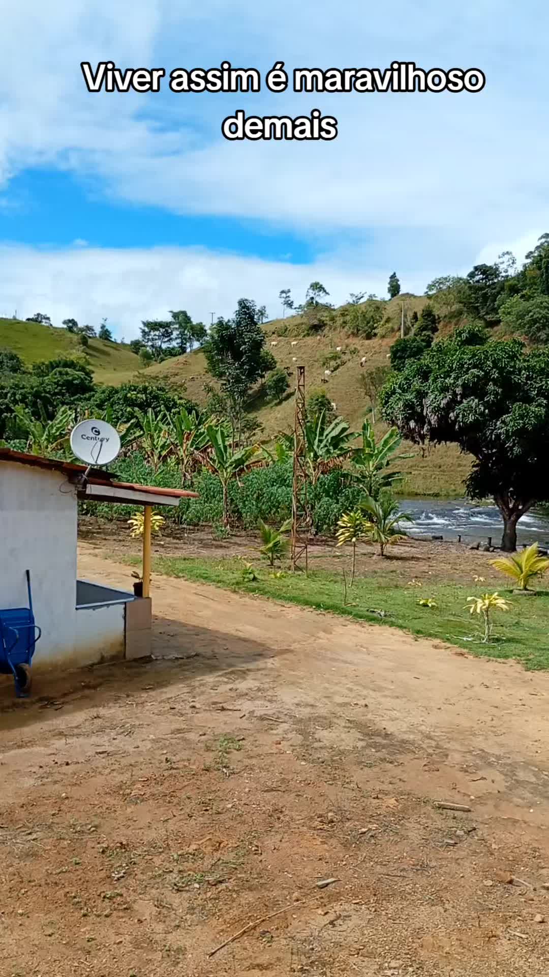 @Ro&ccedil;a 🤠🌱