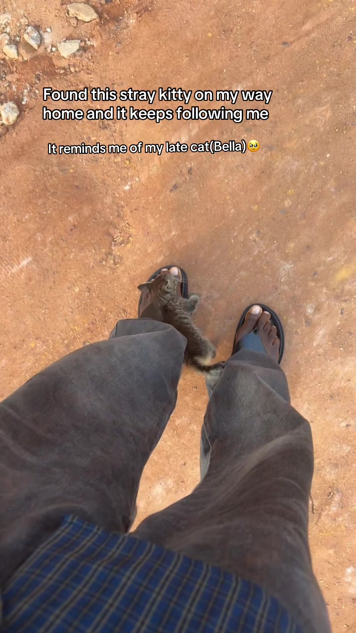 @Papa max