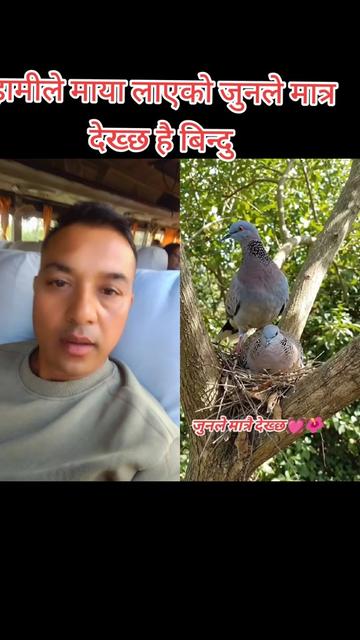 @nabin dhami