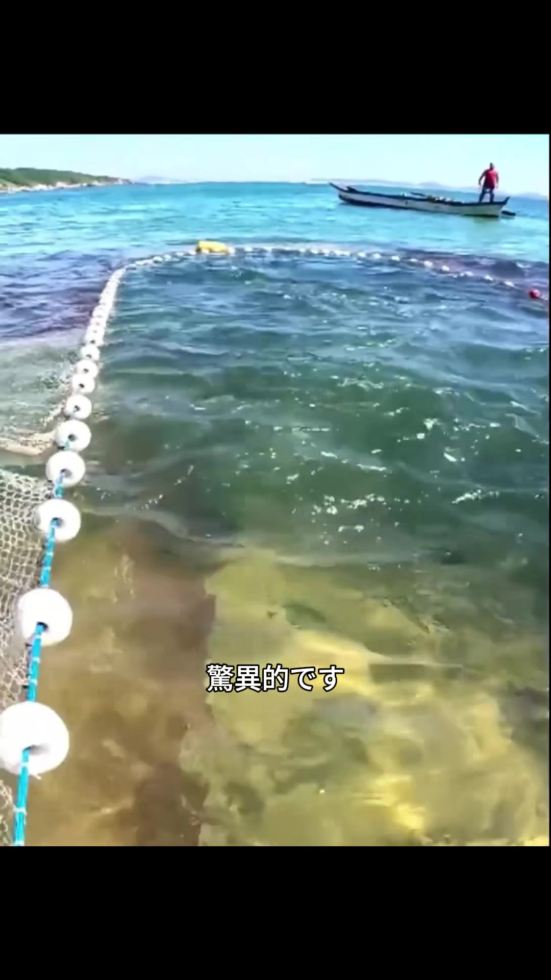@斎藤アウトドア