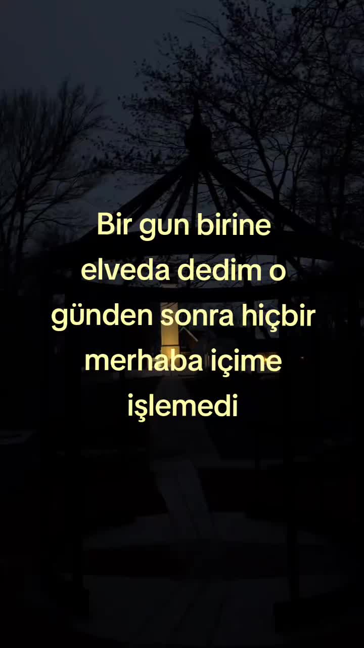 @DelikanliPanda31