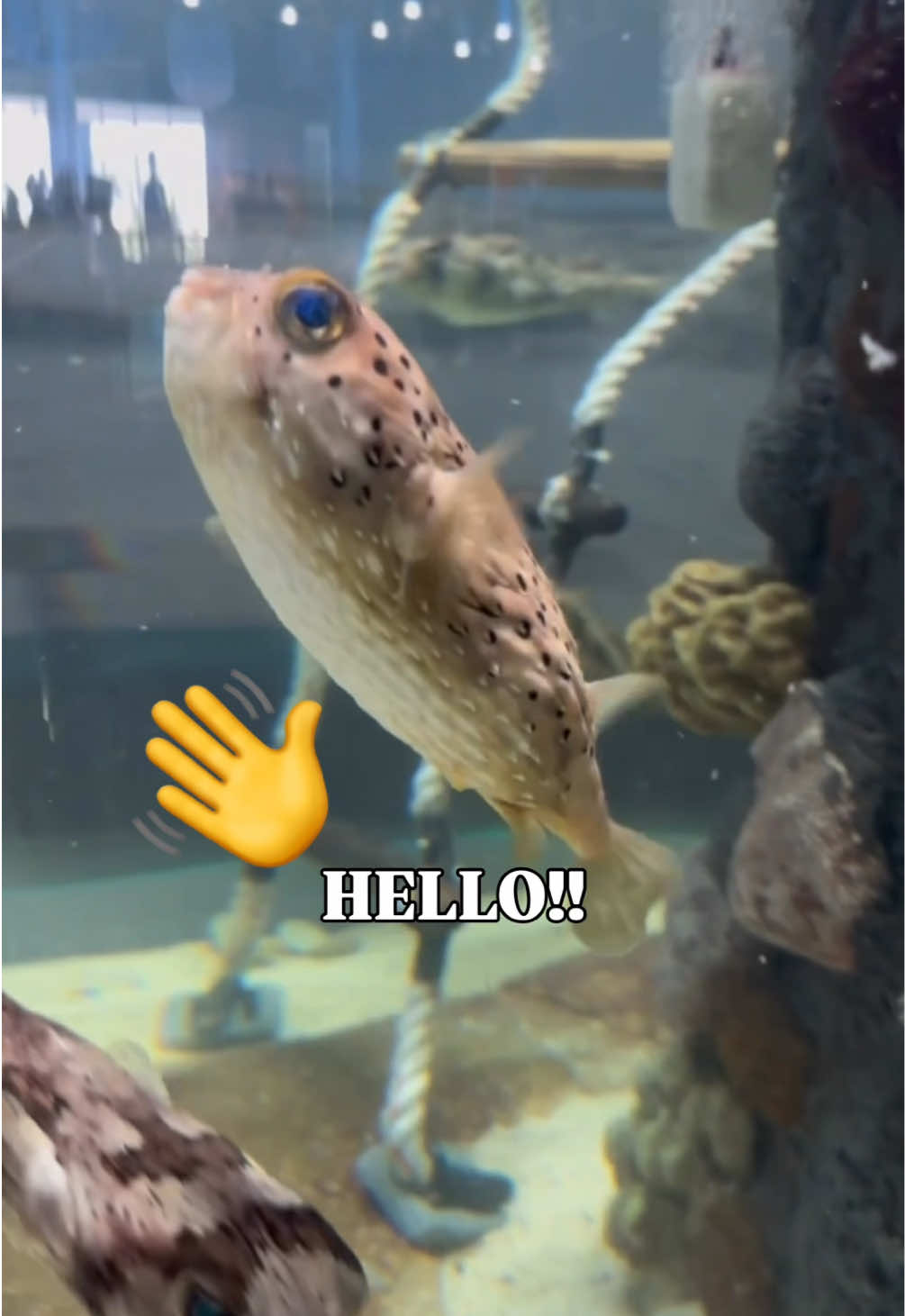 @The Florida Aquarium