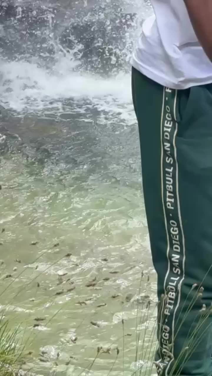 @wahednazhand