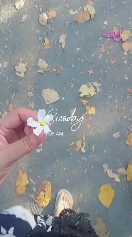 @aiman khan