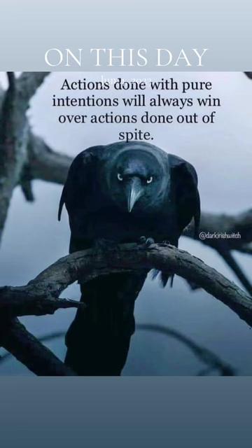 @Ayisha.JustMe💚🧩🦋
