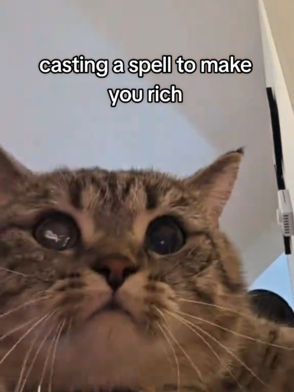 @Luka