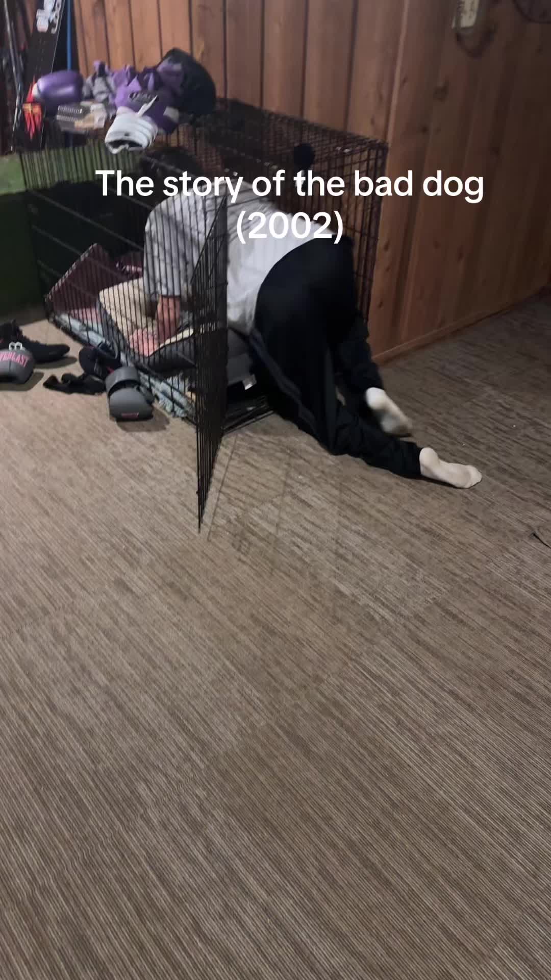 @susburger1