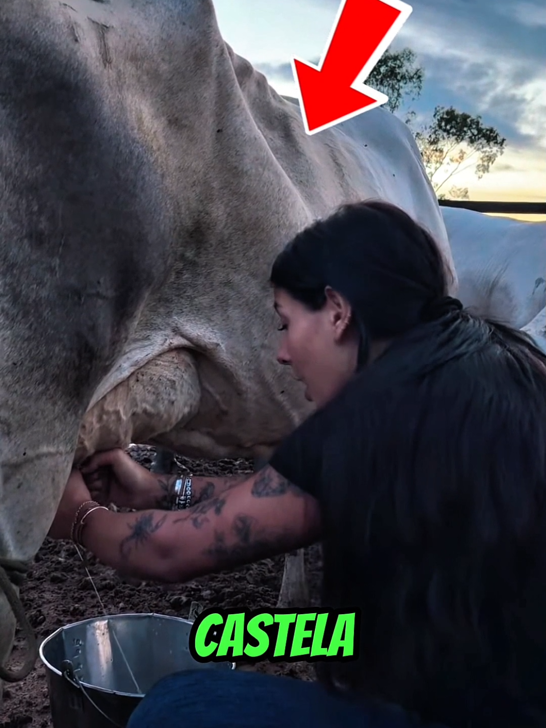 @FOFOCAXX_CURIOSAS