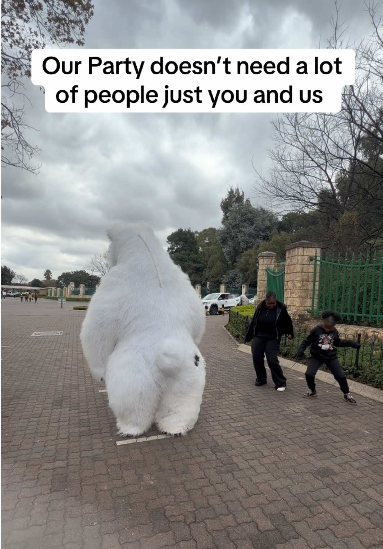 @dancingmascotssa