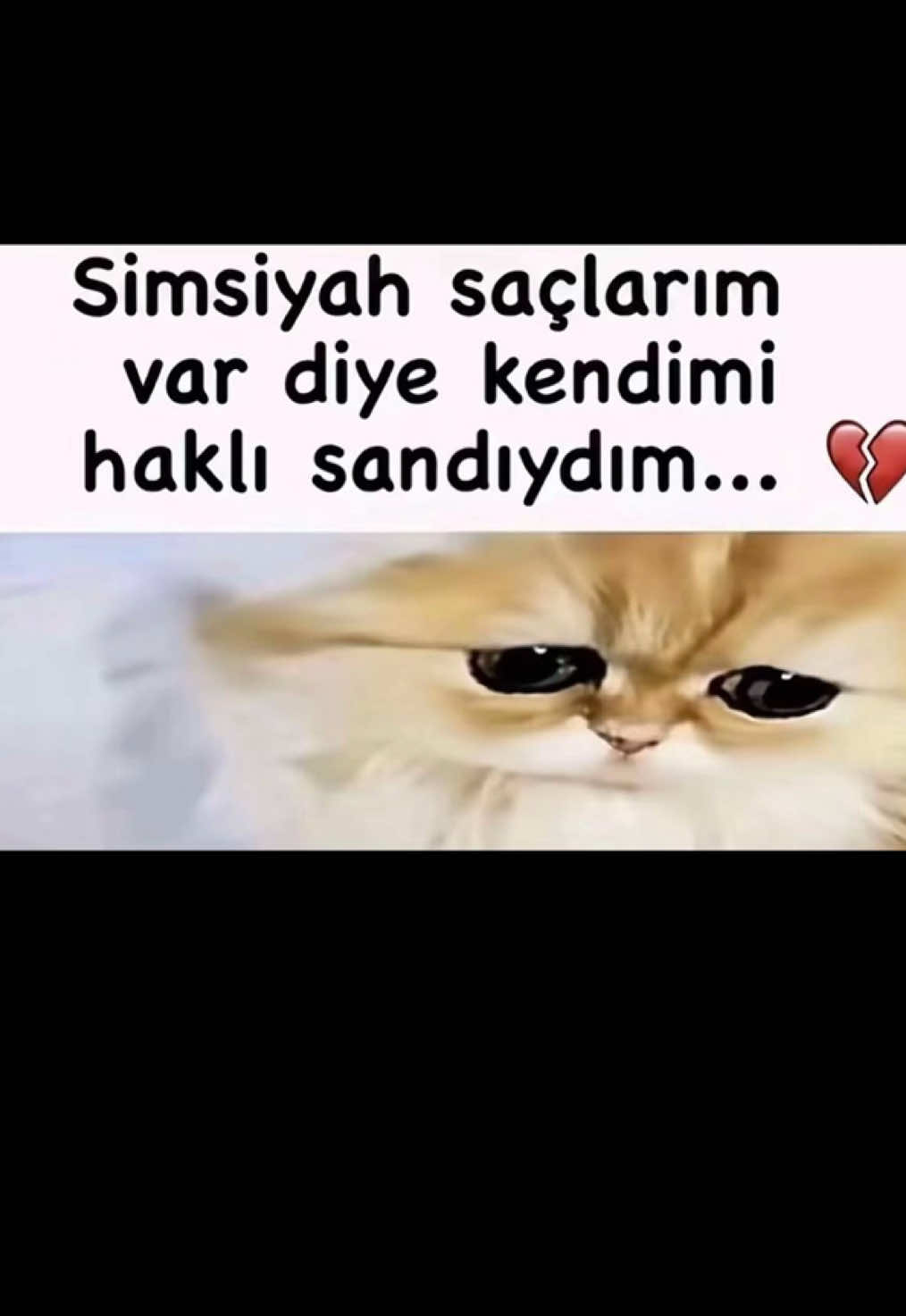 @ecenaz