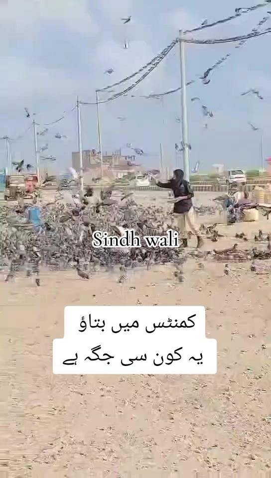 @Sindh wali