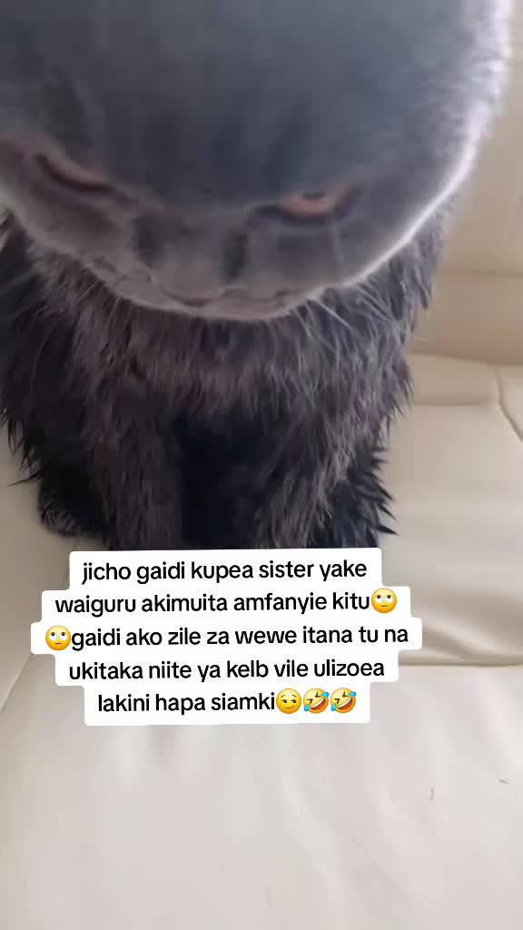 @Terry Trinzy Njeri