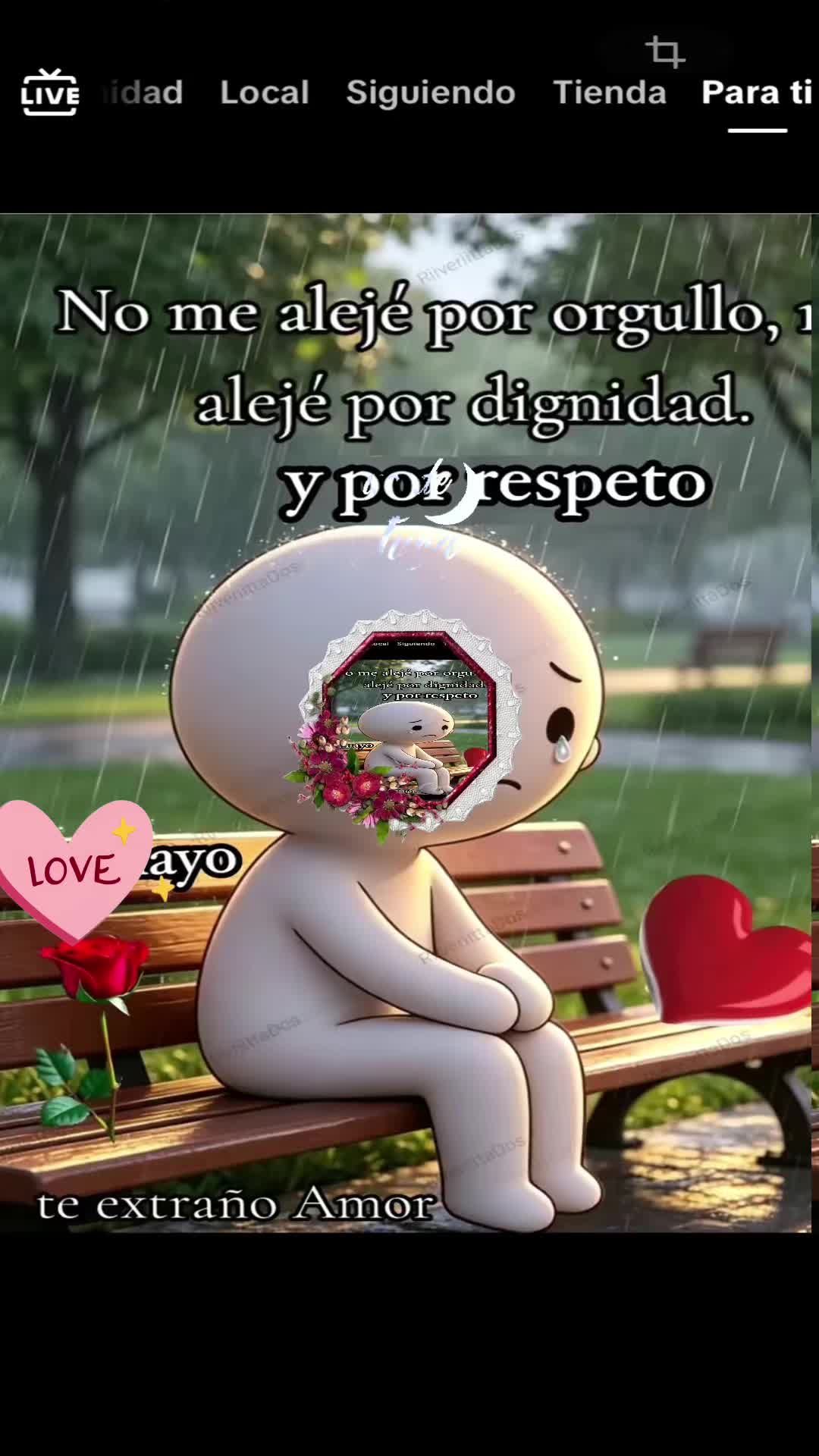 @74luzdeluna0
