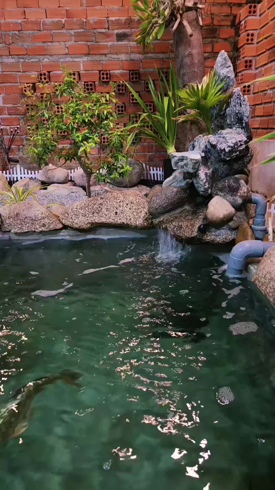 @HOÀNG TỶ