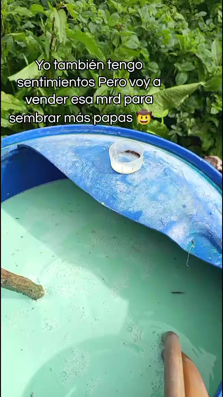 @Pao🤍🧑&zwj;⚕️
