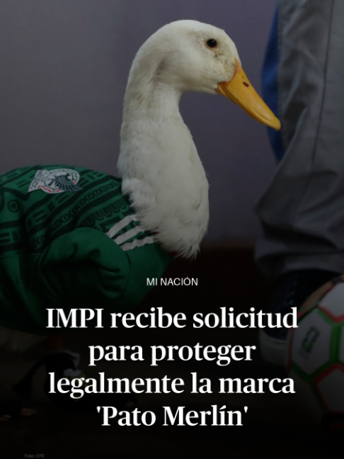 @DiariodeM&eacute;xico
