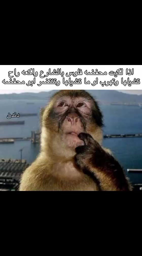 @دندن