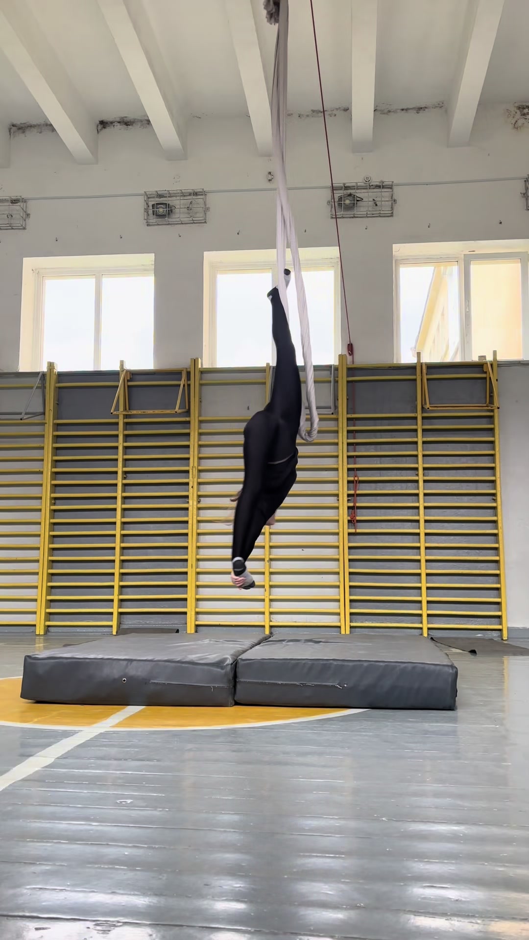 @aerial.danq