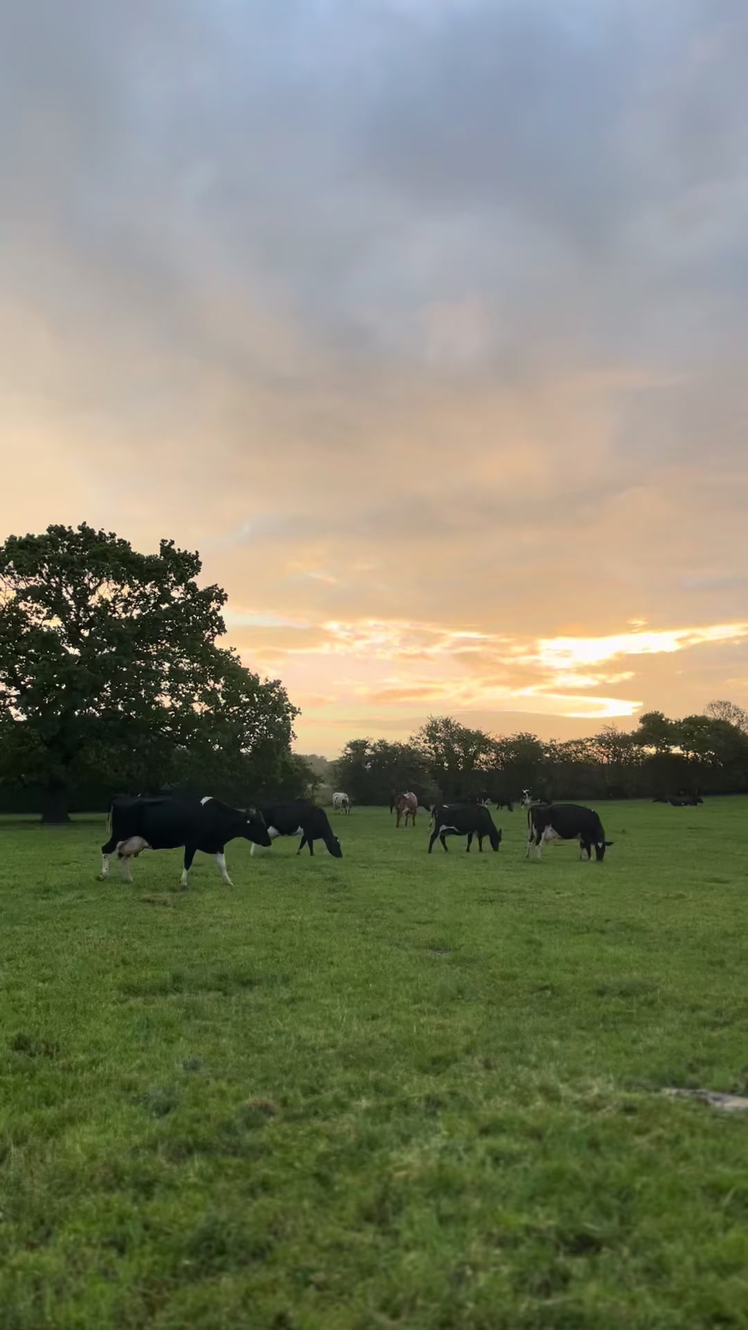 @Agriculturist in UK