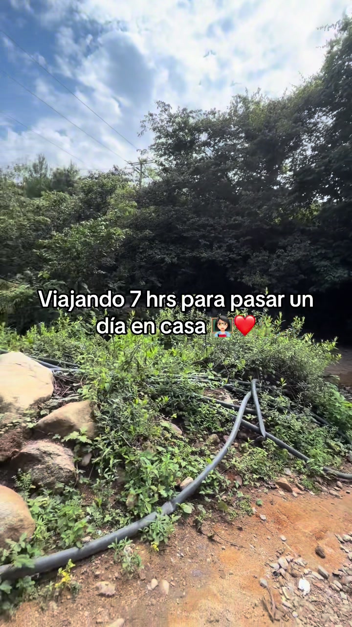 @La profe Hada🧚🏻&zwj;♀️🩷