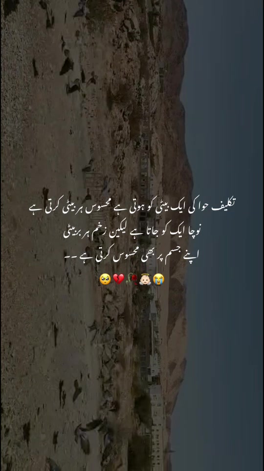 @🕊️♥️🥀