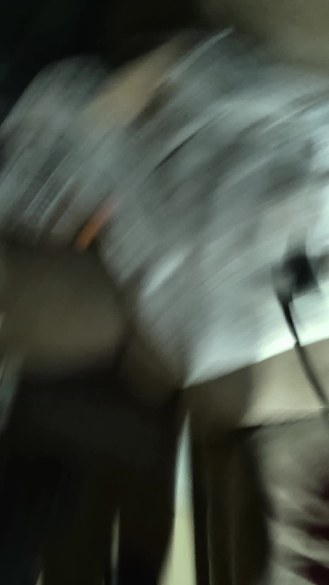 @TY-🦖†