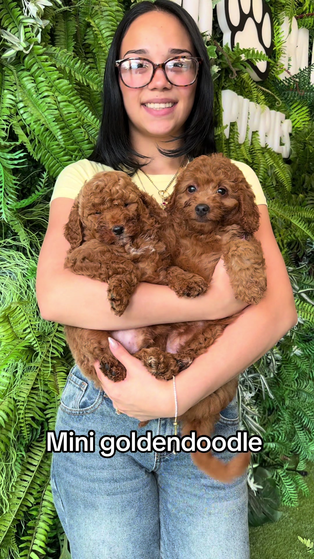 @FurbabyPuppies