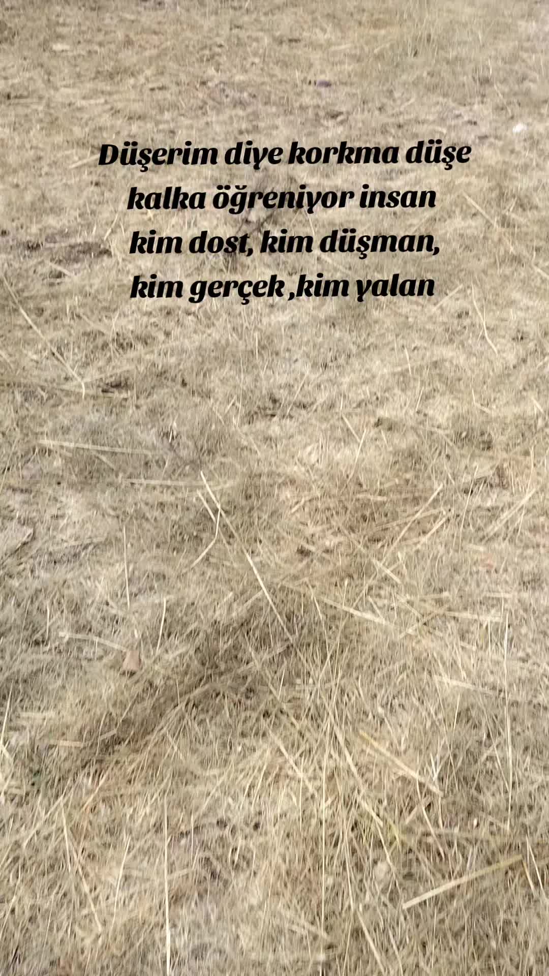 @🔱GÜZELLER TARIM🔱