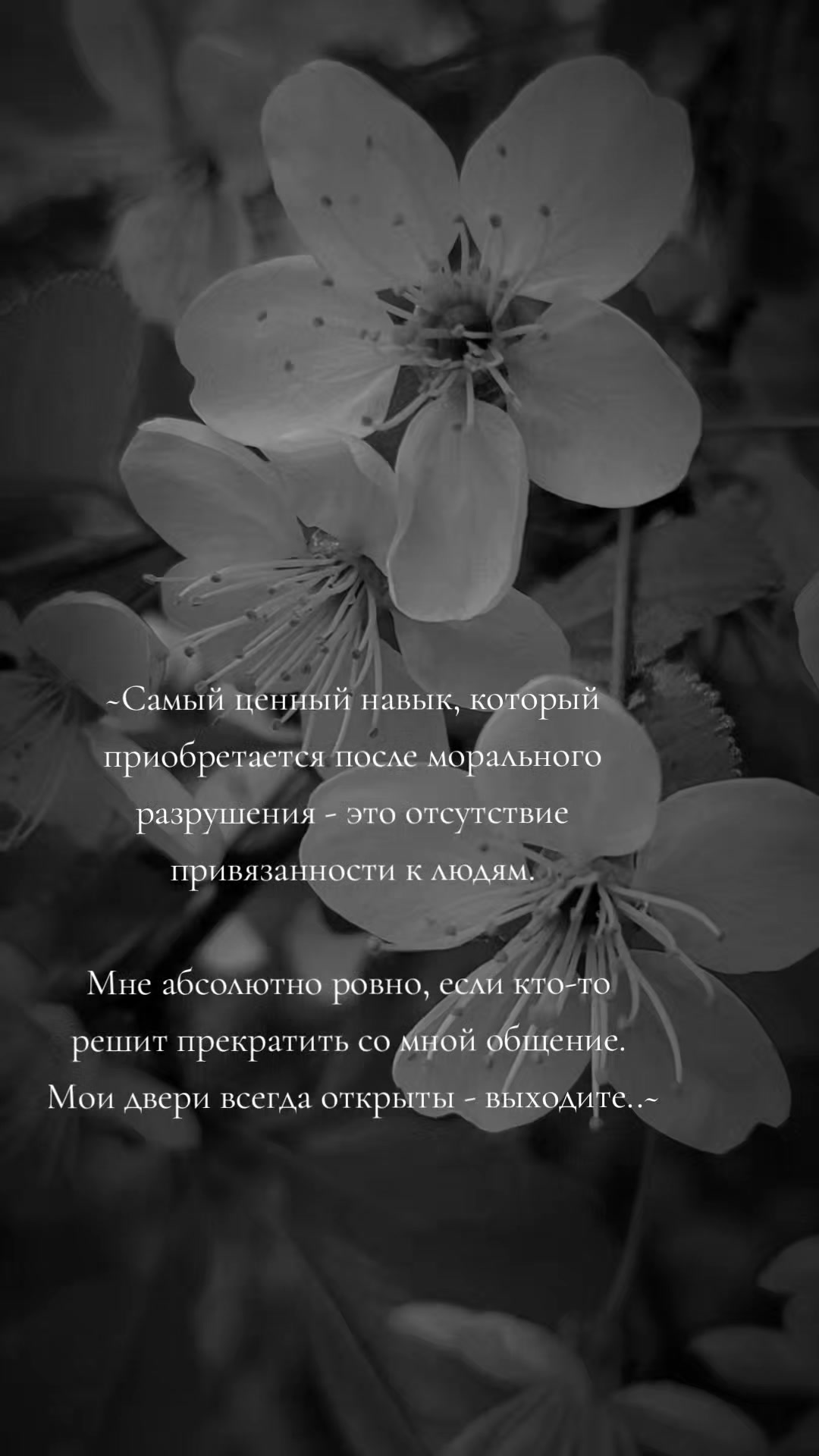 @lulic_87🌺