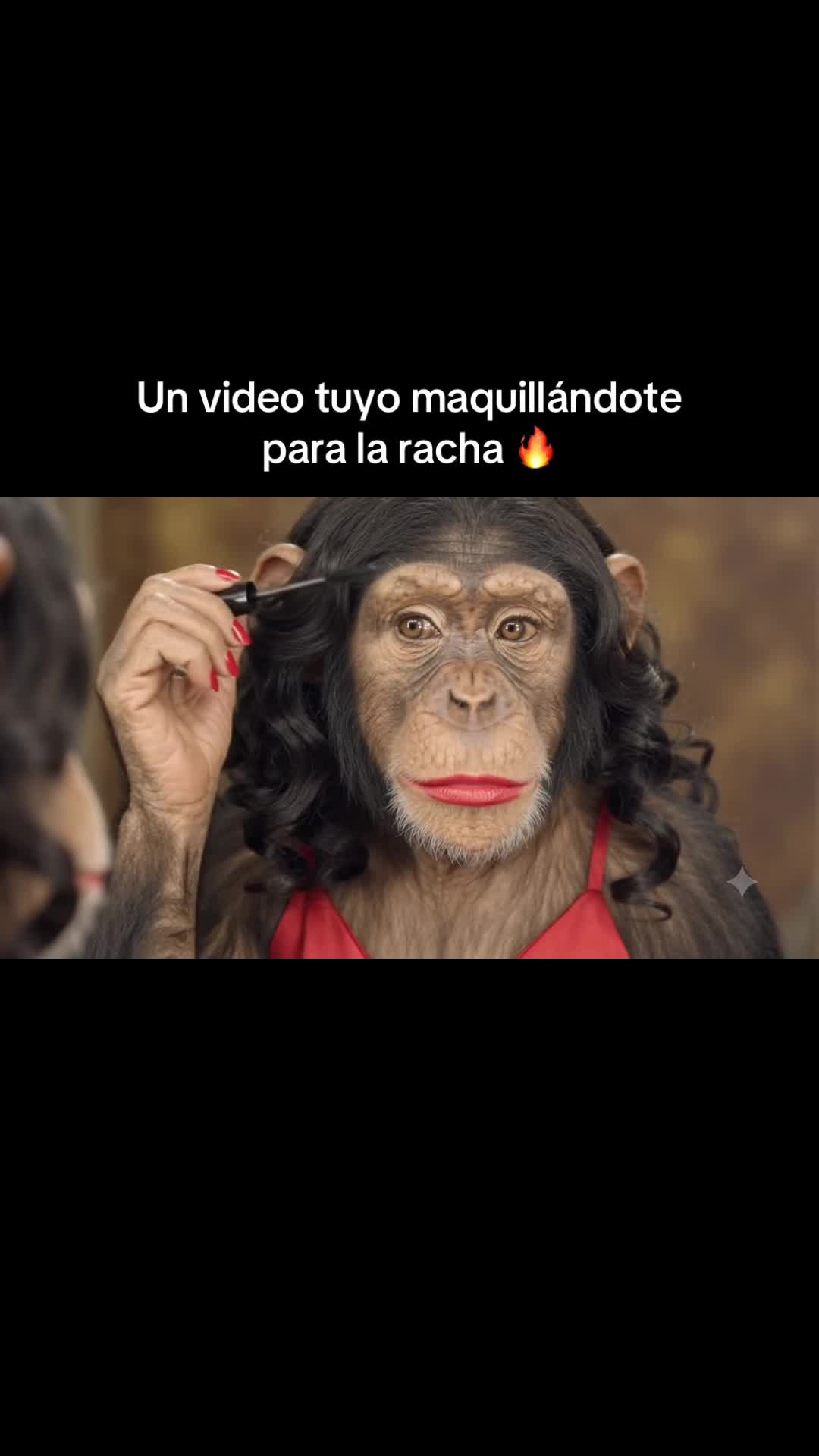 @RabPesito 🔥