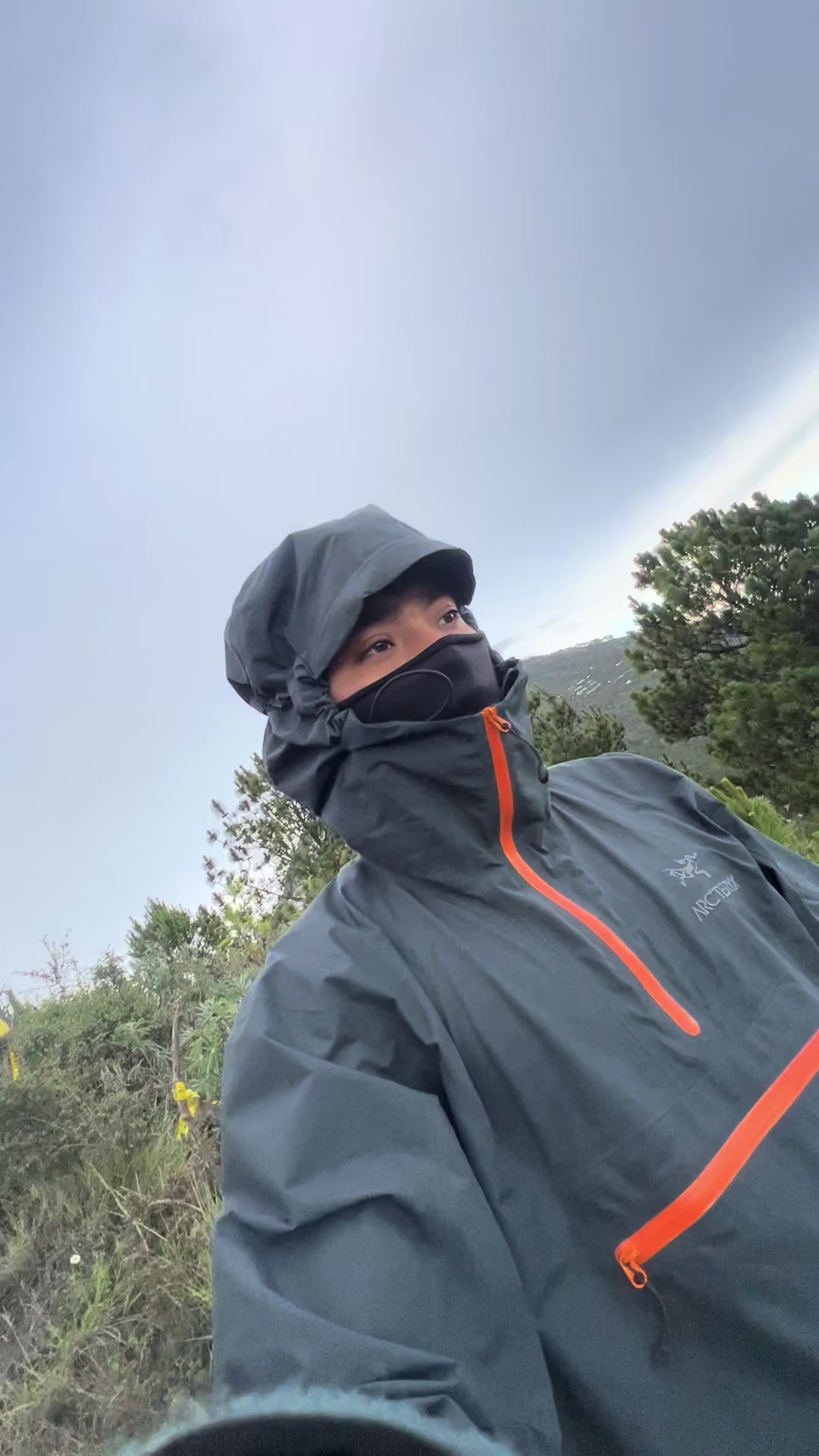 @Saúl-Morgam